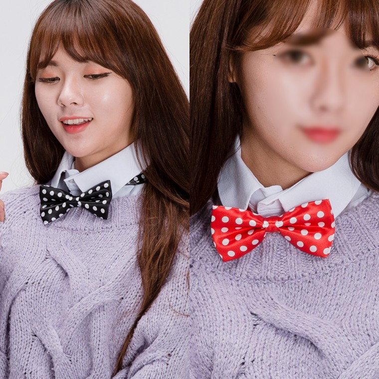 고급 도트나비넥타이 소